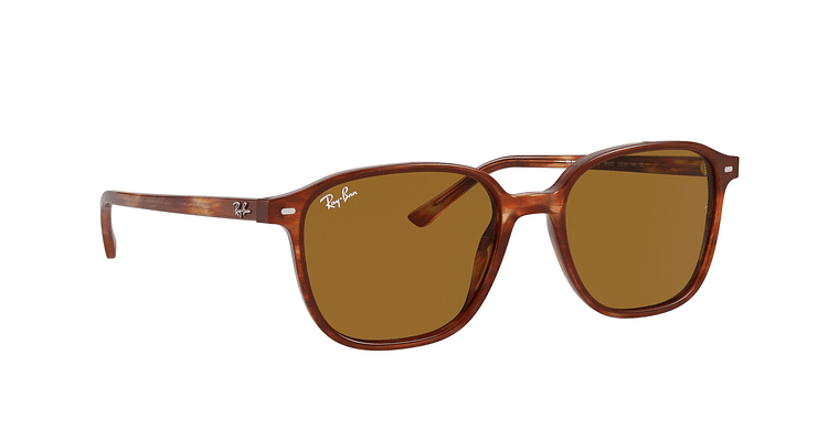 Ray-Ban Leonard - Image 11