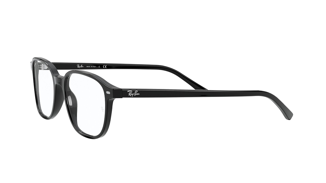 Ray-Ban Leonard 2