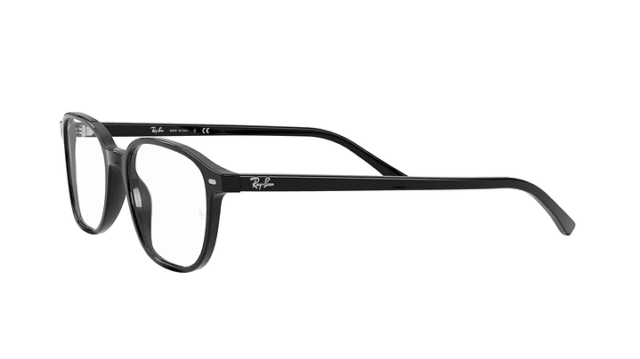 Ray-Ban Leonard 2