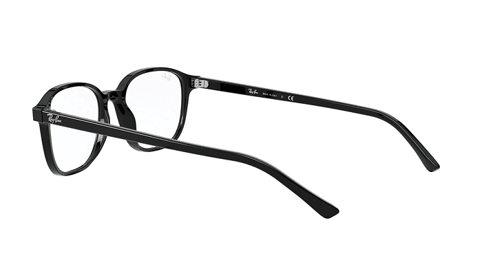Ray-Ban Leonard 4