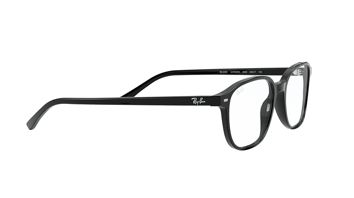 Ray-Ban Leonard 10