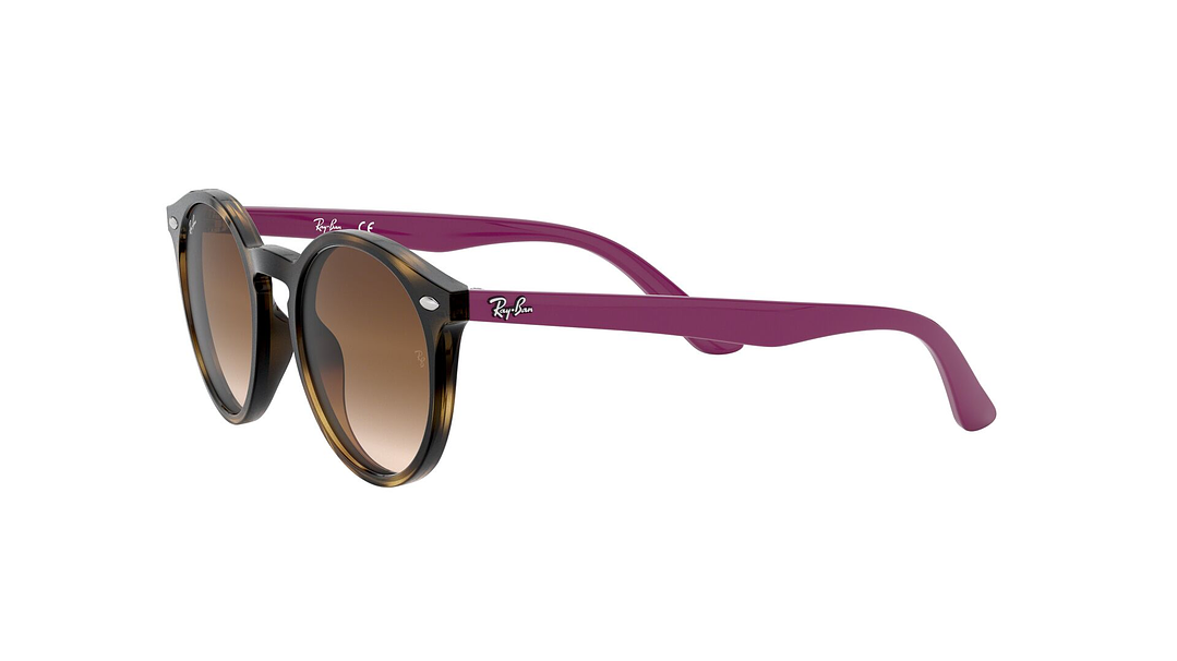 Ray-Ban Junior Round RJ9064S (Modelo para niños) 2