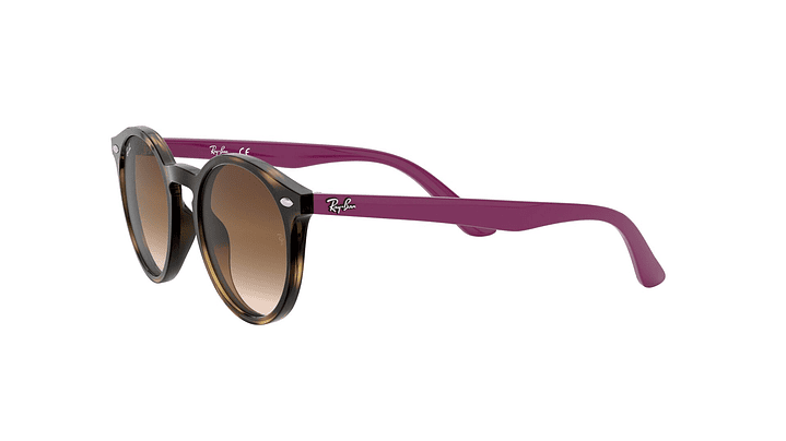 Ray-Ban Junior Round RJ9064S (Modelo para niños) 2