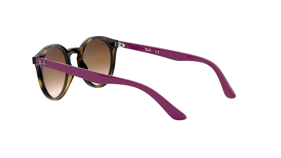 Ray-Ban Junior Round RJ9064S (Modelo para niños) 4