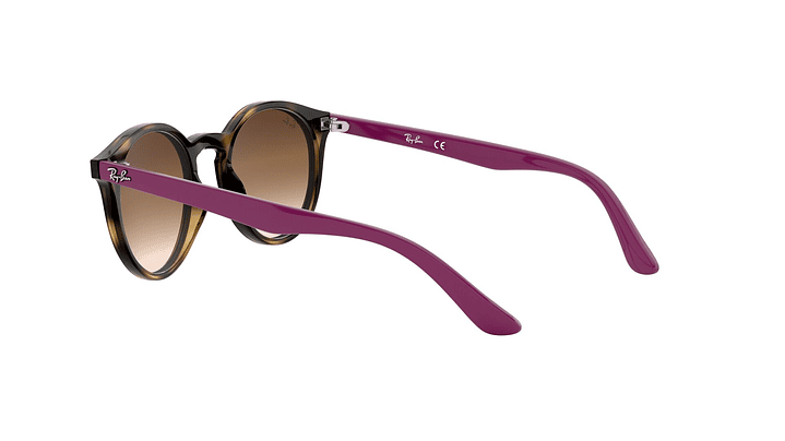 Ray-Ban Junior Round RJ9064S (Modelo para niños) 4