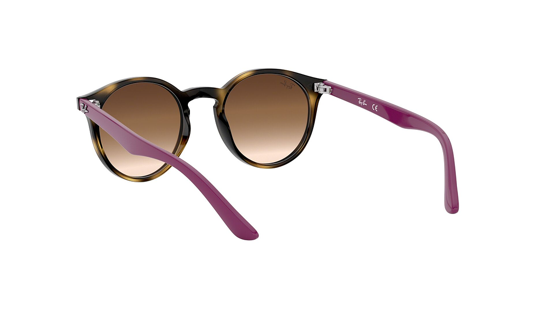 Ray-Ban Junior Round RJ9064S (Modelo para niños) 5