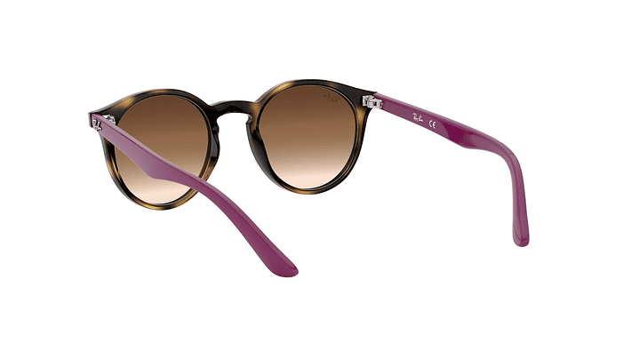 Ray-Ban Junior Round RJ9064S (Modelo para niños) 5