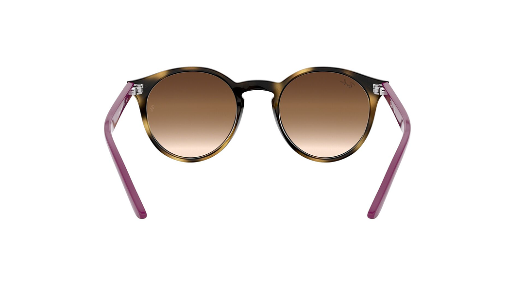 Ray-Ban Junior Round RJ9064S (Modelo para niños) 6