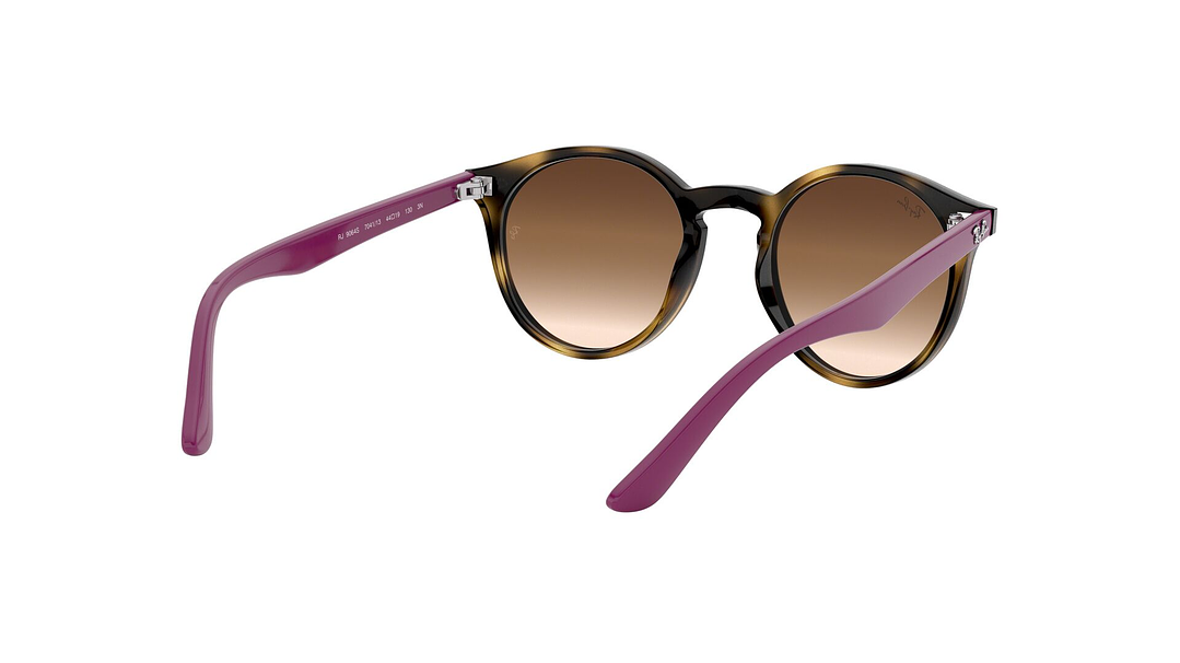 Ray-Ban Junior Round RJ9064S (Modelo para niños) 7