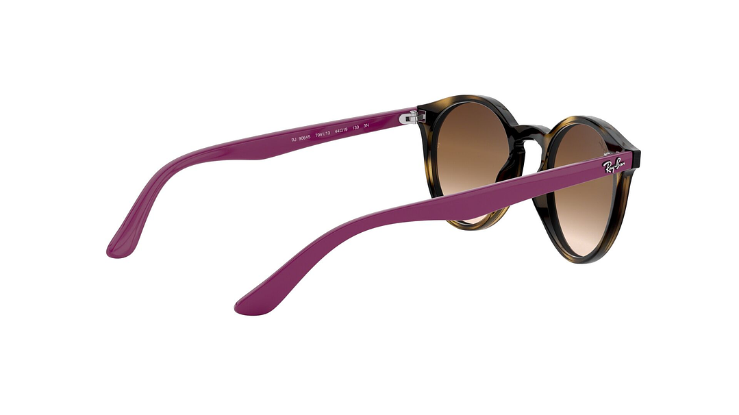 Ray-Ban Junior Round RJ9064S (Modelo para niños) 8