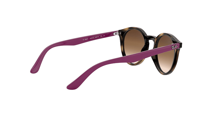 Ray-Ban Junior Round RJ9064S (Modelo para niños) 8