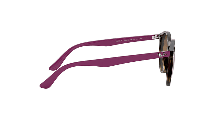 Ray-Ban Junior Round RJ9064S (Modelo para niños) 9