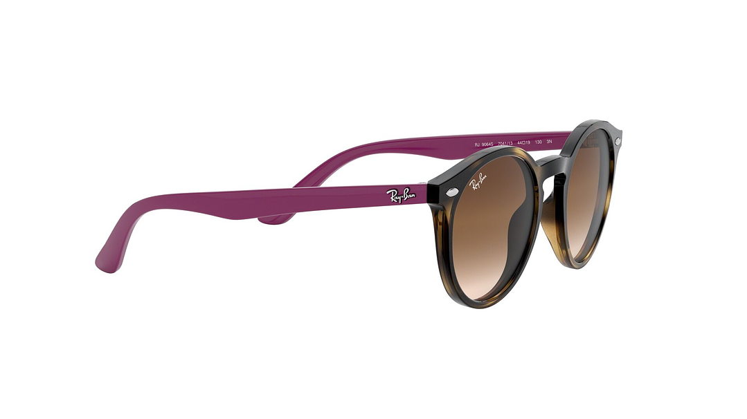 Ray-Ban Junior Round RJ9064S (Modelo para niños) 10