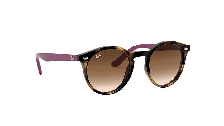 Ray-Ban Junior Round RJ9064S (Modelo para niños) 11