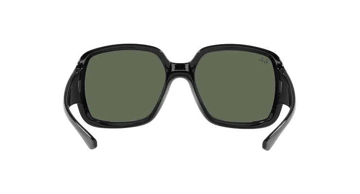 Ray-Ban Powderhorn - Image 6