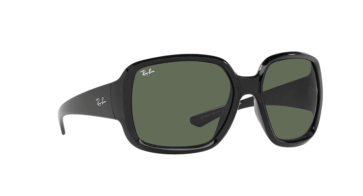 Ray-Ban Powderhorn - Image 11