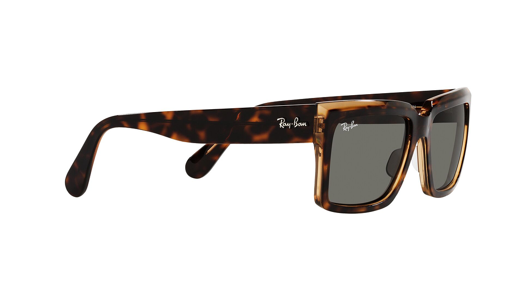 Ray-Ban Inverness 10