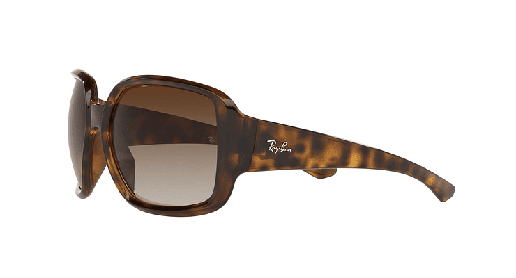 Ray-Ban Powderhorn - Image 2