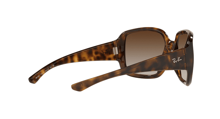 Ray-Ban Powderhorn - Image 8