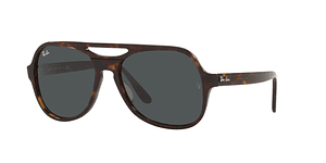 Ray-Ban Powderhorn