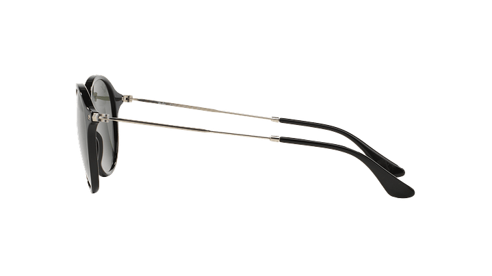 Ray-Ban Round Fleck 3