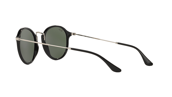 Ray-Ban Round Fleck 4