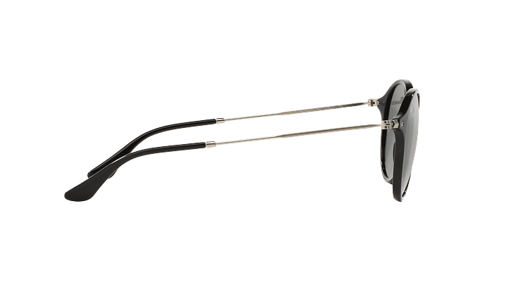 Ray-Ban Round Fleck 9