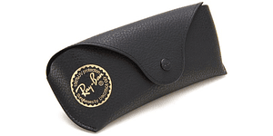 Estuche Ray-Ban Negro