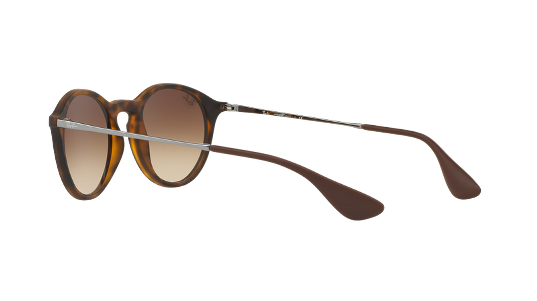 Ray-Ban Round RB4243 4