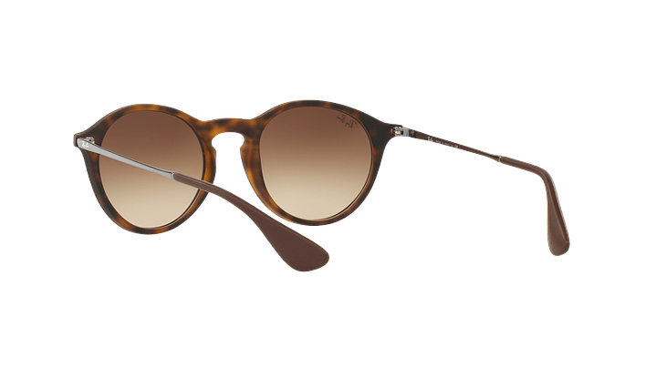 Ray-Ban Round RB4243 5