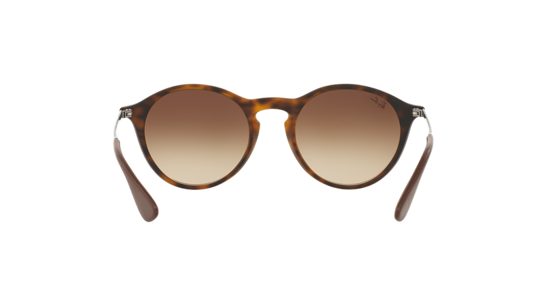 Ray-Ban Round RB4243 6