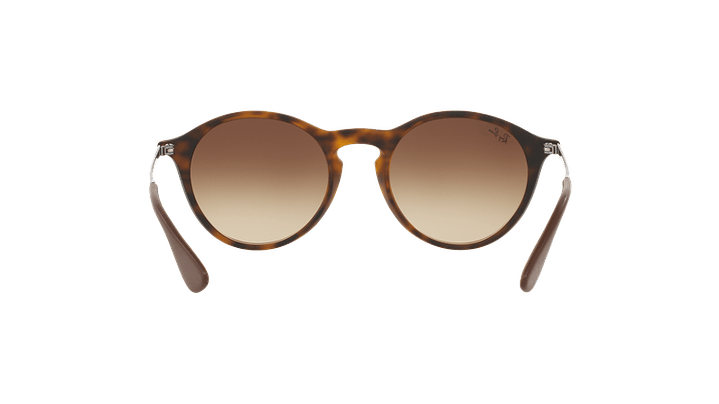 Ray-Ban Round RB4243 6