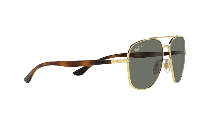 Ray-Ban RB3683 Polarizado 10