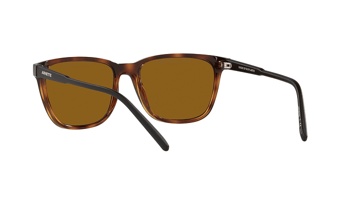 Arnette Cortex Polarizado 5