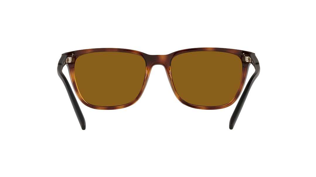 Arnette Cortex Polarizado 6