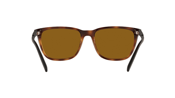 Arnette Cortex Polarizado 6