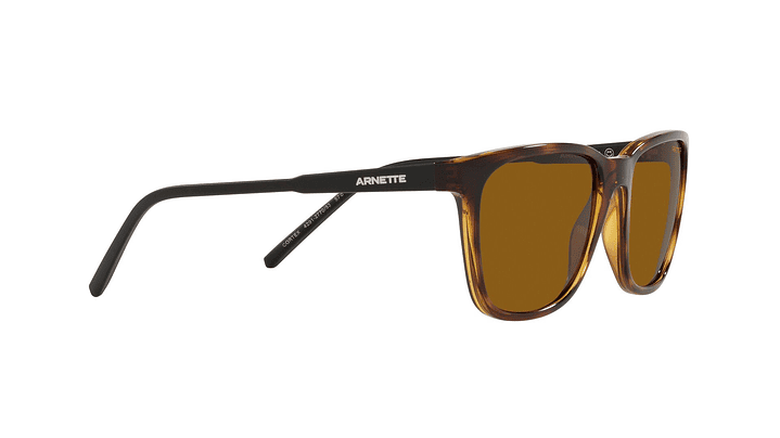 Arnette Cortex Polarizado 10