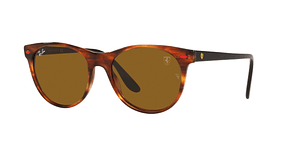 Ray-Ban RB2202M RB2202M F66733 55