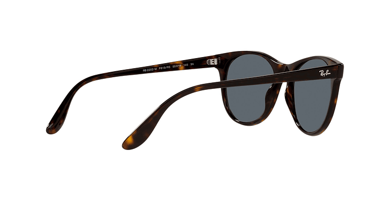 Ray-Ban RB2202M RB2202M F613R5 55 - Image 8