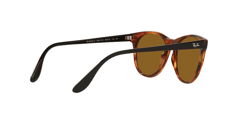 Ray-Ban RB2202M RB2202M F66733 55 - Image 8