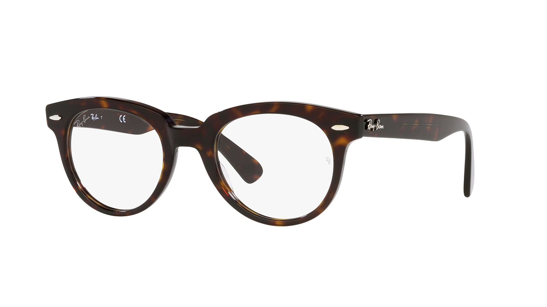 Ray-Ban RX2199V RX2199V 2012 50 1