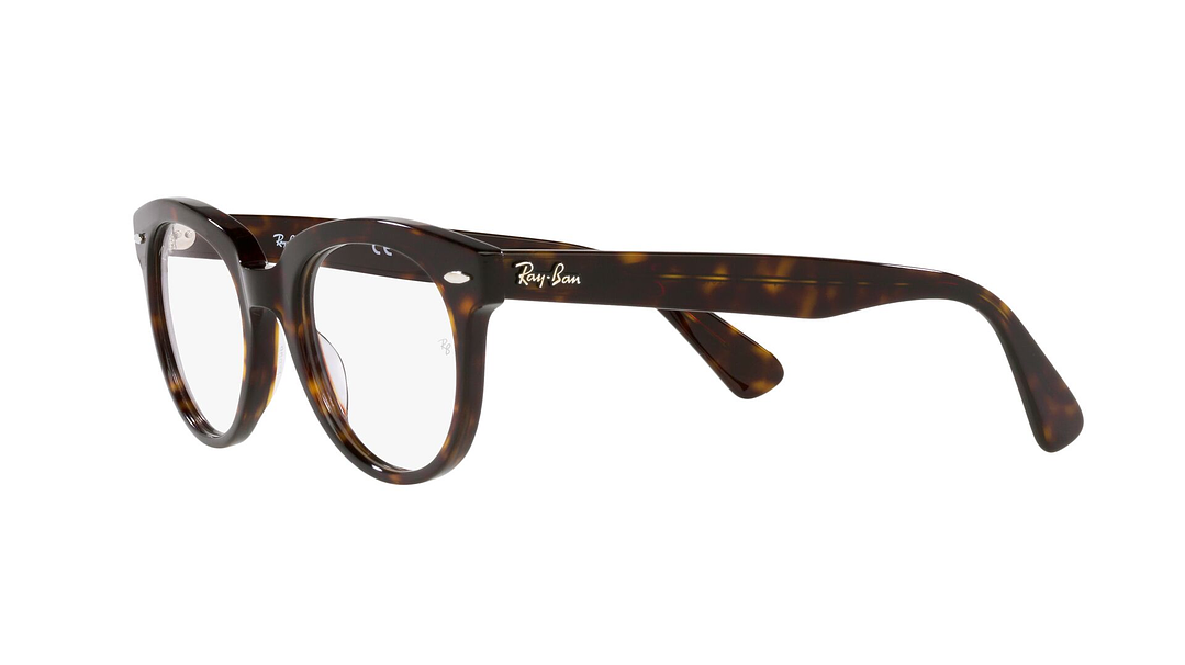 Ray-Ban RX2199V RX2199V 2012 50 2