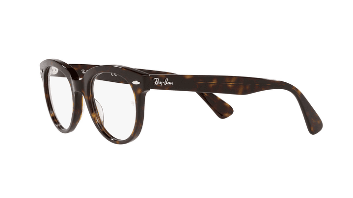 Ray-Ban RX2199V RX2199V 2012 50 2