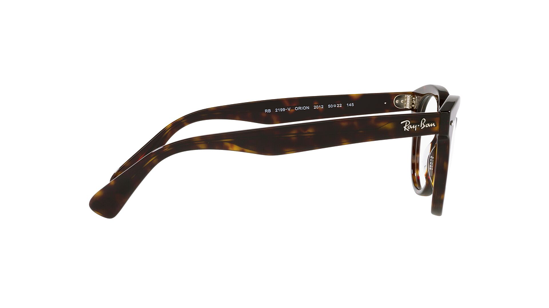 Ray-Ban RX2199V RX2199V 2012 50 9