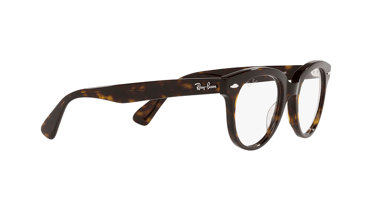 Ray-Ban RX2199V RX2199V 2012 50 10