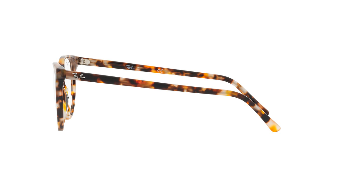 Ray-Ban Elliot RX5397 8173 50 3