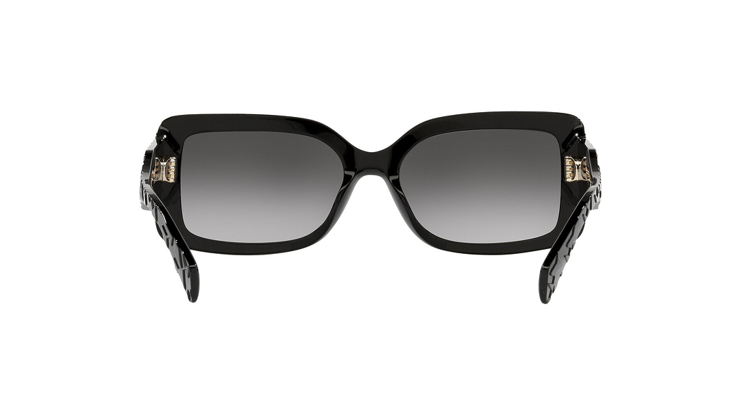 Michael Kors Corfu MK2165 30058G 56 6