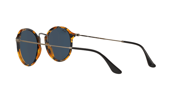 Ray-Ban Round Fleck 4