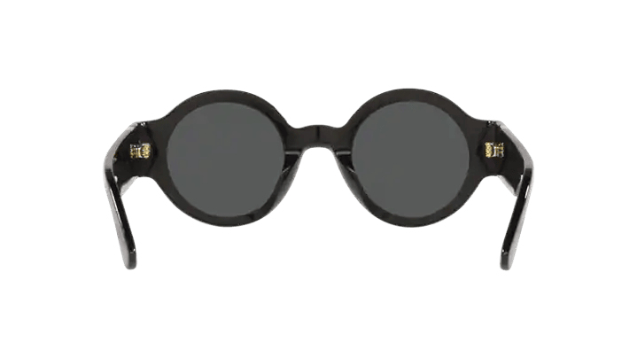 Polo Ralph Lauren PH4190U 6