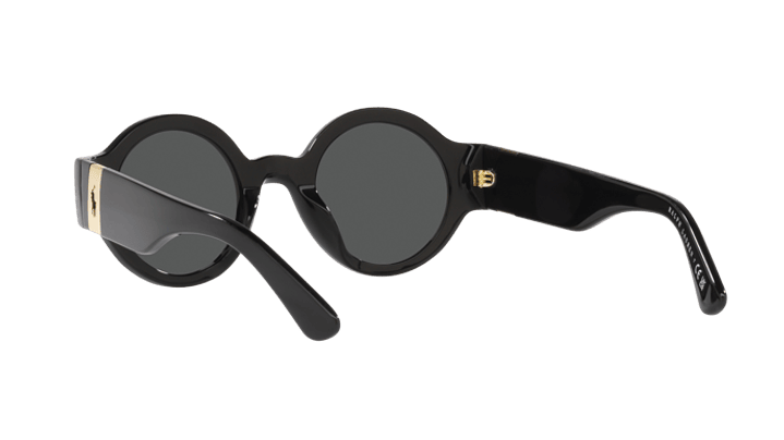 Polo Ralph Lauren PH4190U 5